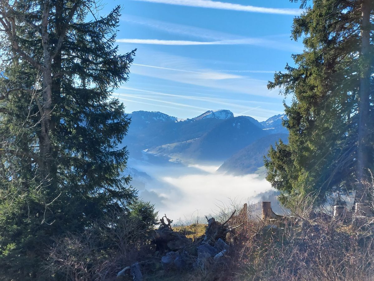 2026 – Neubeginn und Durchstarten